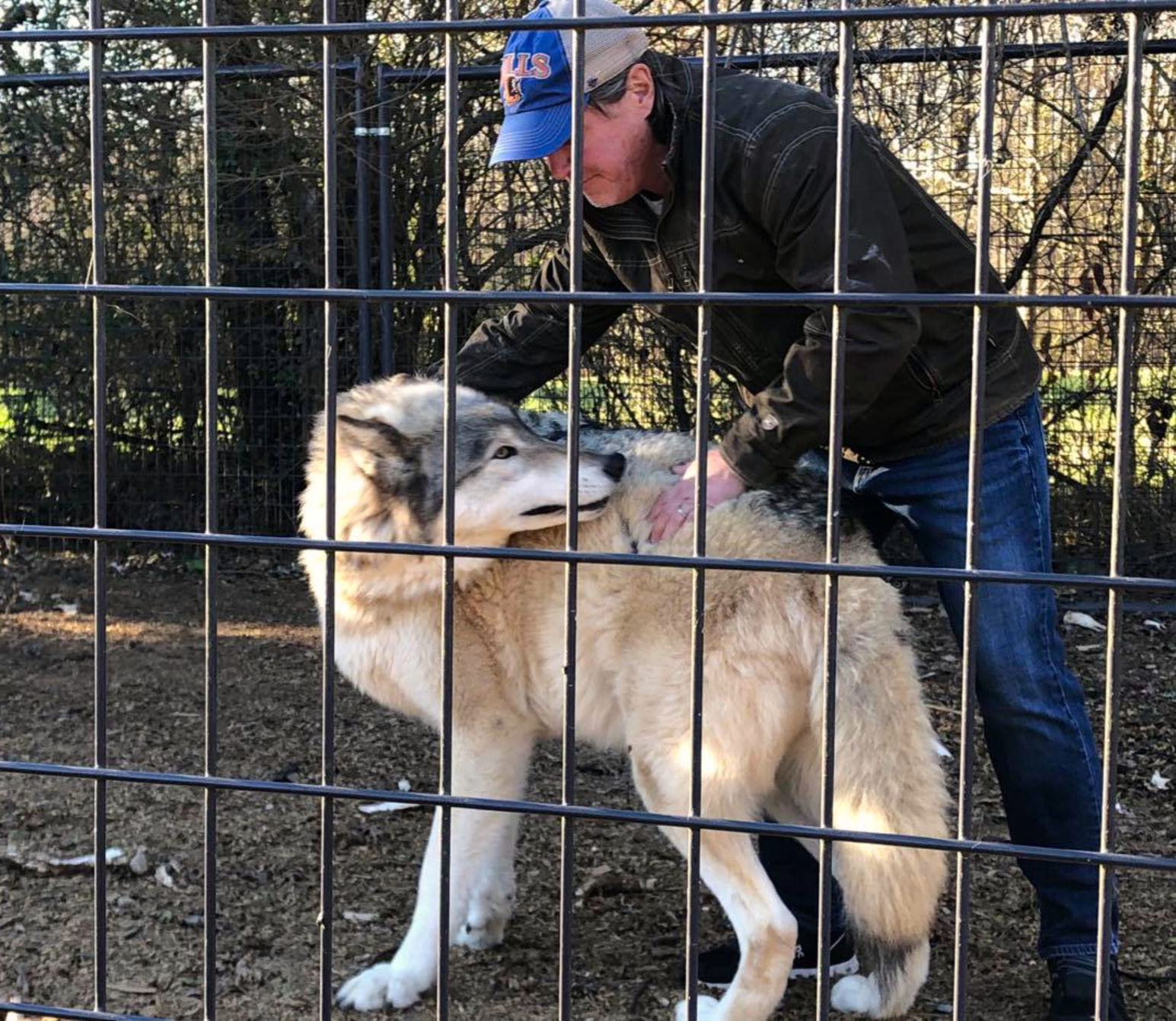 Brother wolf